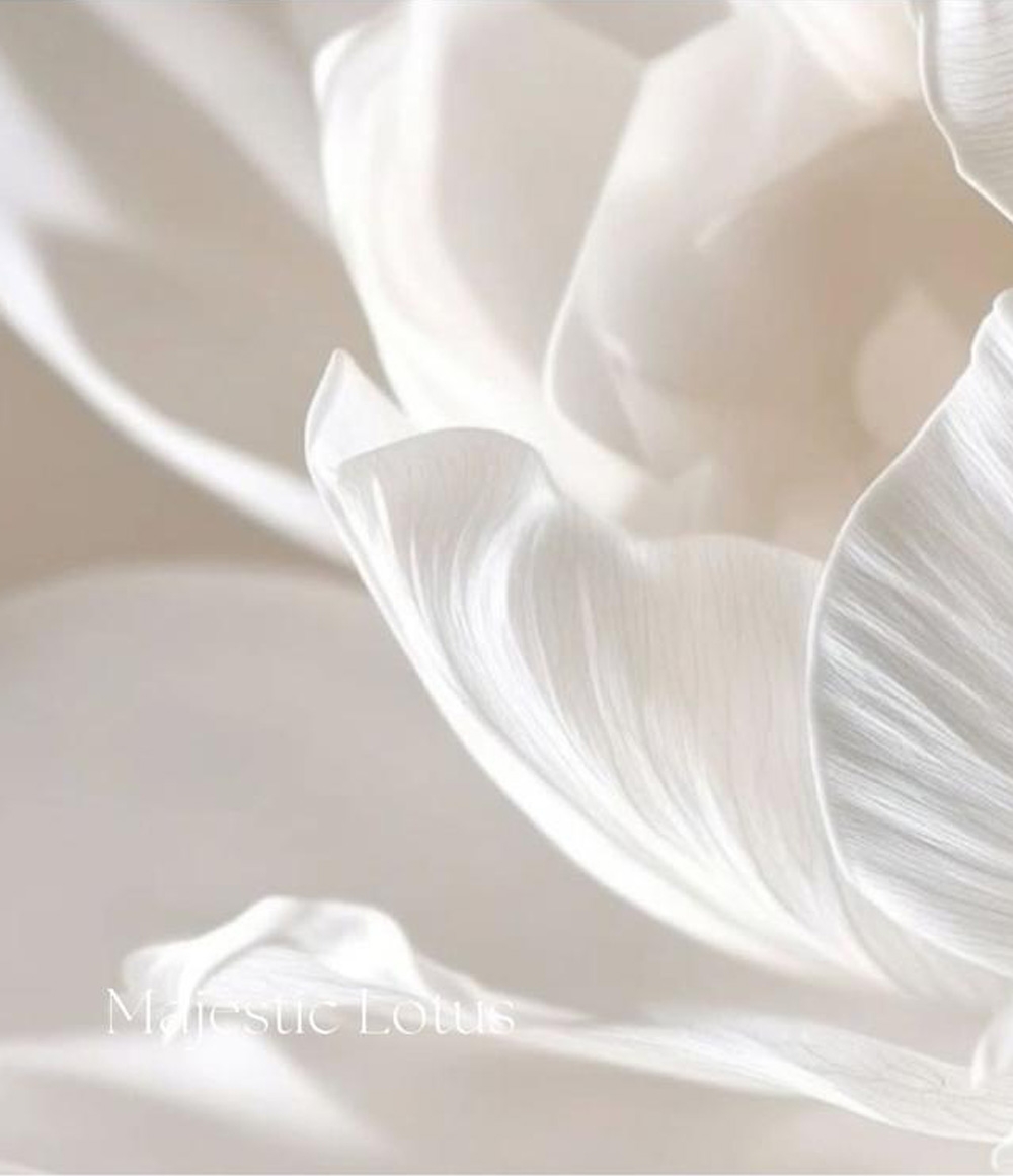 MAJESTIC LOTUS. Vaso 1...