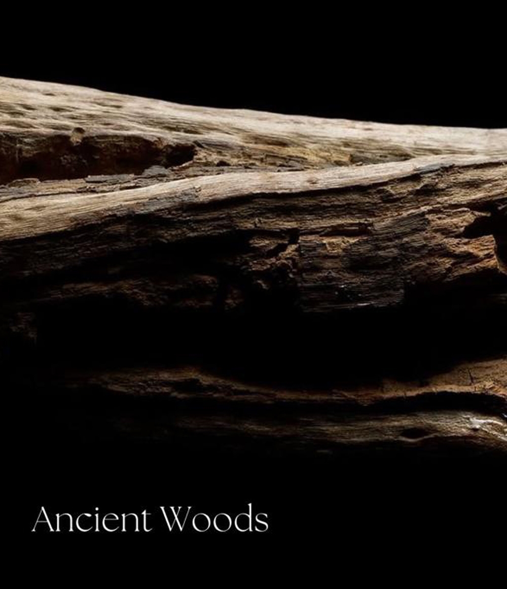 ANCIENT WOOD